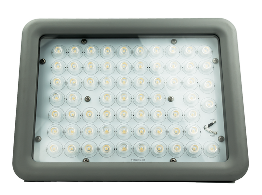 A Series Class 1 Division 2 LED Flood Light